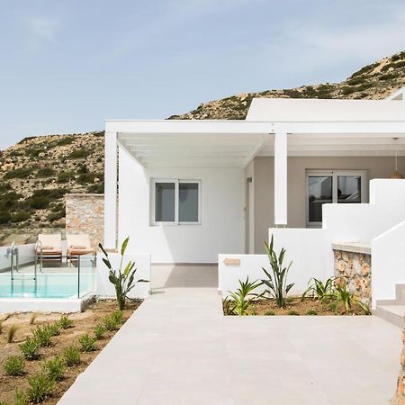 Theros Luxury Villas Damatria Екстериор снимка